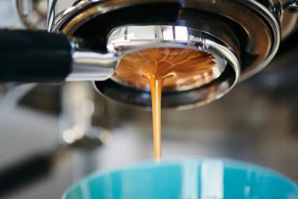 Low angle view of an espresso machine pulling a great looking shot. A single stream of thick espresso coffee pouring underneath a naked portafilter in a teal coffee cup. The espresso is used to make a cappuccino drink.