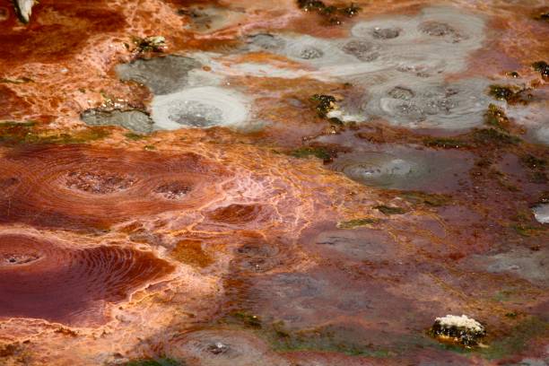 istock Yellowstone National Park 1126150447