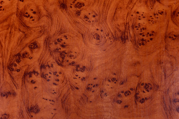 istock Excellent lacquered texture of brown color with dark circles 1126153459