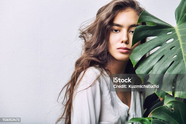 Young Beautiful Girl Model Asian Brunette With Long Hair Posing In Studio With Tropical Plant On Isolated Background Stock Photo - Download Image Now