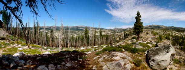 ユニオン貯水池 - stanislaus national forest ストックフォトと画像