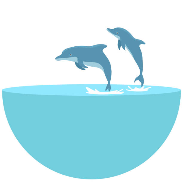 The dolphin who is jumping out of sea water on white background. jumping dolphins in the sea. The blue dolphin jumps. The dolphin who is jumping out of sea water on white background. jumping dolphins in the sea. The blue dolphin jumps. dolphin stock illustrations