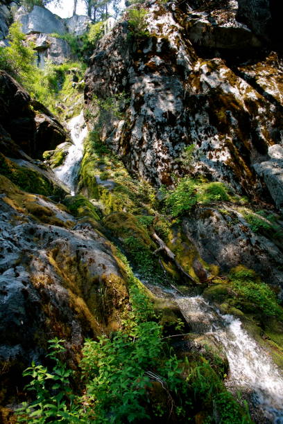 Lake Eleanor, Yosemite Lake Eleanor in northwest Yosemite National Park stanislaus national forest stock pictures, royalty-free photos & images