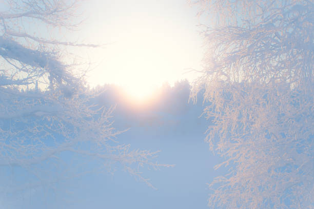 Cold winter day sunset view. Photo from Sotkamo, Finland.