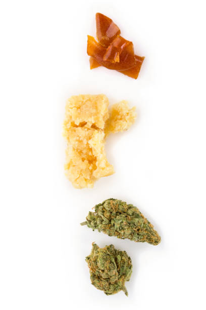 Cannabis concentrate shatter, bud and crumble. Cannabis bud, crumble, shatter concentrate on white background. Marijuana concentrates. rosin stock pictures, royalty-free photos & images