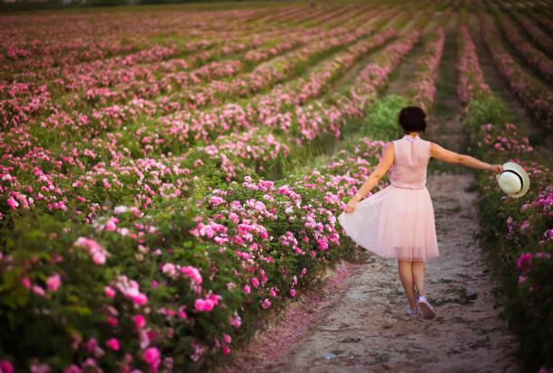 schöne junge frau mit dunklen haaren, die entlang der rosen-feld. aroma, kosmetik und parfüm-werbung. - human hair women horizontal rose petals stock-fotos und bilder