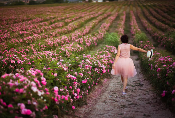 schöne junge frau mit dunklen haaren, die entlang der rosen-feld. aroma, kosmetik und parfüm-werbung. - human hair women horizontal rose petals stock-fotos und bilder