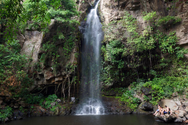 린 콘 데 라 비에 하 국립 공원, 코스타리카에서에서 cangreja 폭포 - costa rica waterfall heaven rainforest 뉴스 사진 이미지