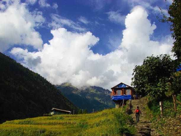 himalayan landscape with beautiful mountain scene. - nepal landscape hiking rice imagens e fotografias de stock