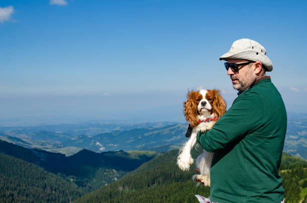 istock Man and dog in a landscape 1126178060
