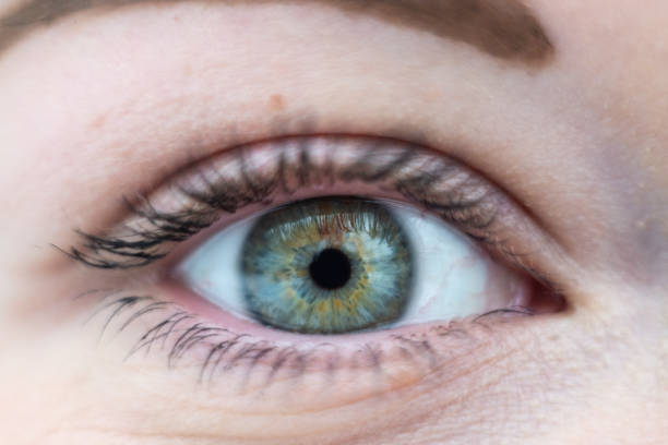 istock Close-up on female green eye 1126180114