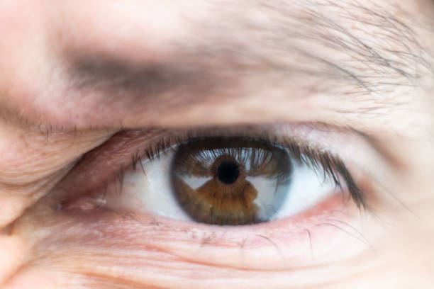 close-up on male brown eye - eyes narrowed imagens e fotografias de stock