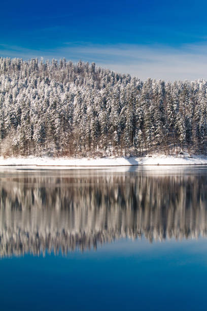 istock Lokvarsko lake in Croatia, forest reflecting in water 1126181480