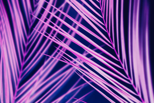 istock tropical neon flora art pink vibrant design 1126181783