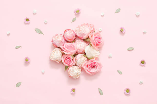 istock floral composition rose assortment leaves decor 1126181818