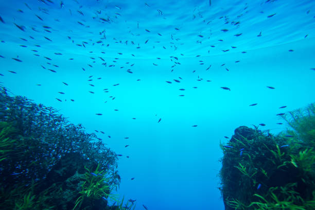 istock Summer. Texture of water surface. Underwater background. Waves effects. Blue underworld. Ocean, sea. Diving. Blue sea pool water. Bottom view. 1126182181