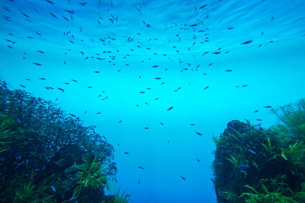 istock Summer. Texture of water surface. Underwater background. Waves effects. Blue underworld. Ocean, sea. Diving. Blue sea pool water. Bottom view. 1126182295