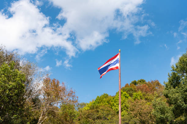istock Thai flag blowing in the wind Trees around the sky and clouds 1126188757