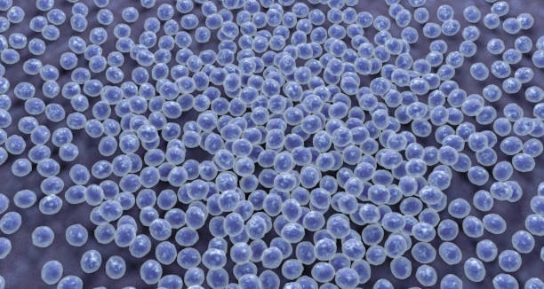 azuis microorganismos - bacterium staphylococcus colony epidemic - fotografias e filmes do acervo
