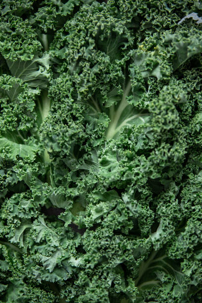 istock kale food vegan background 1126193119