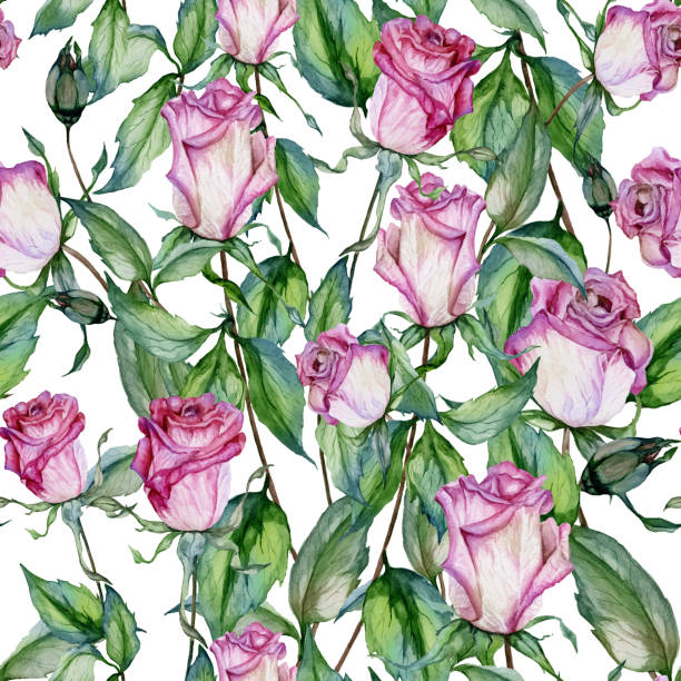istock Beautiful pink roses on long stems with green leaves on white background. Seamless floral pattern. Watercolor painting 1126194679