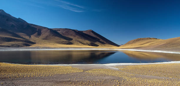 istock Laguna Miniques (also known as Laguna Meniques) in the Chilean highlands 1126197662