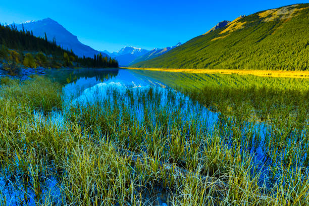 istock Jasper National Park in Alberta Canada 1126199457