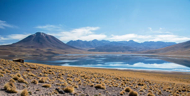 istock Laguna Miscanti in the Chilean highlands 1126199792