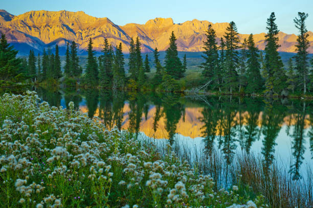 istock Jasper National Park in Alberta Canada 1126200455