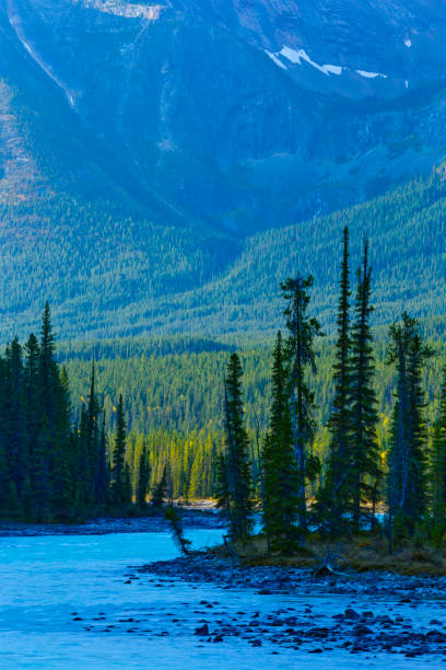 istock Jasper National Park in Alberta Canada 1126200604