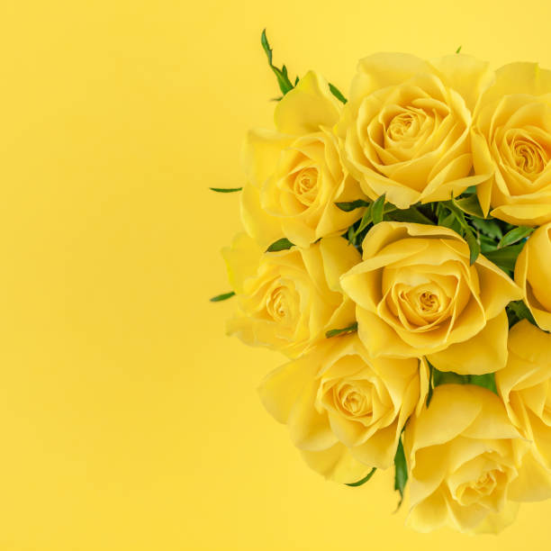 istock Fresh yellow roses bouquet 1126200960