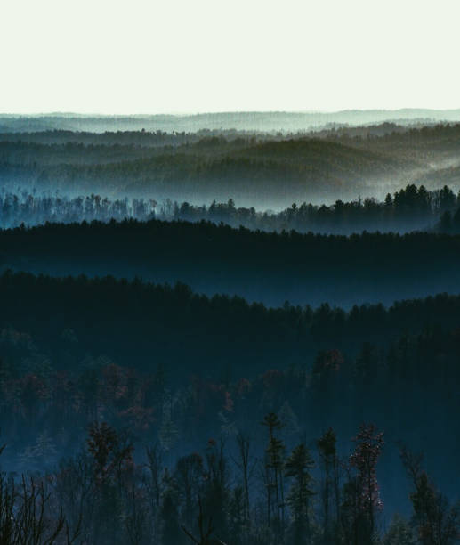 Foresta Nazionale Di Pisgah Immagine Foto e Immagini Stock iStock
