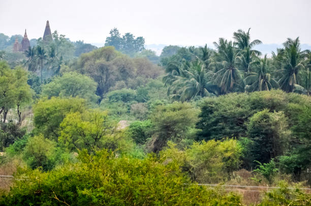 istock Valley of a thousand pagodas in Myanmar 1126210495