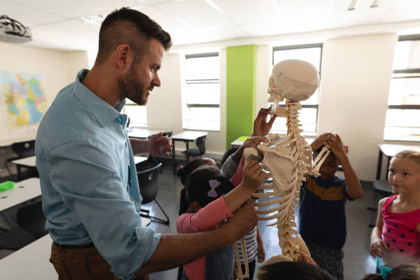 vue latérale de l’enseignant de sexe masculin expliquant le modèle squelette dans la salle de classe - anatomy classroom human skeleton student photos et images de collection