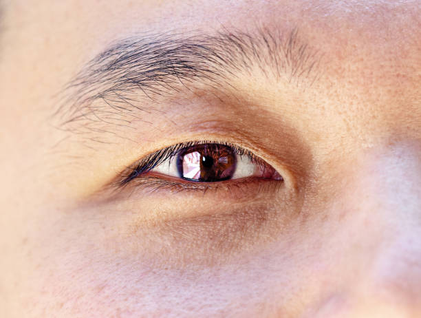 istock Beautiful 35-year-old Japanese man's eye. 1126212147