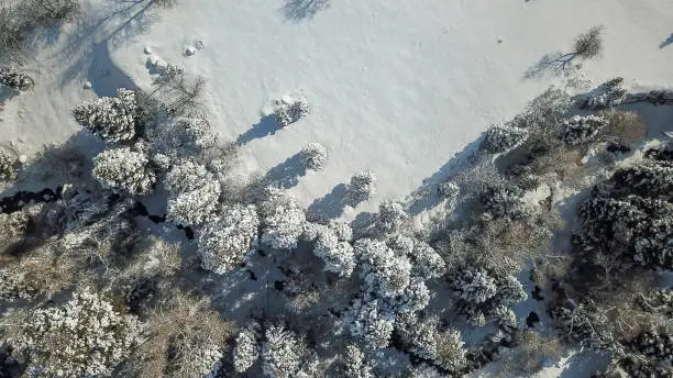 Drone perspective over snowy meadow