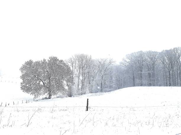 istock snow landscape with rural hills at dusk 1126215782