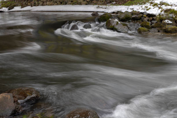 A small river flowing between trees with a small water degree. The riverbed leading through a deciduous forest. Season winter.