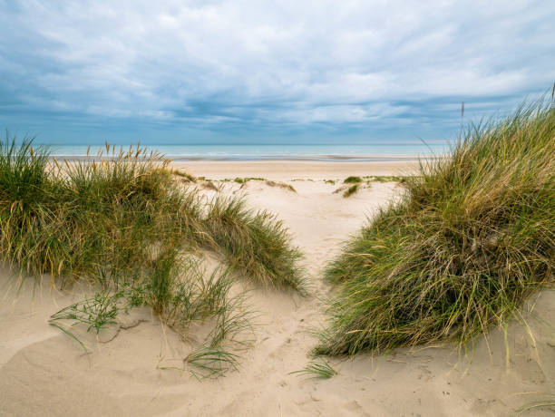 istock Small path leading over marram grass covered dunes towards the North Sea at Bray-Dunes 1126226989