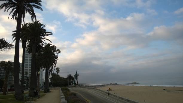 istock Santa Monica Beach and Venice beach at morning palms and clouds 1126230233