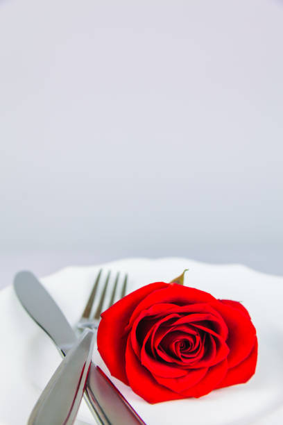 Red Rose On A White Porcelain Plate stock photo