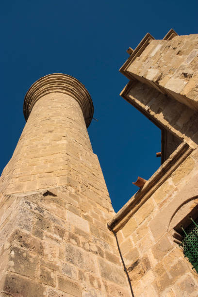 istock Hala Sultan Tekke near Larnaca Cyprus 1126234402