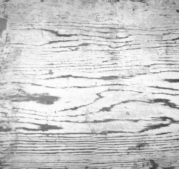 fondo del grunge blanco gris de textura de madera de la pared vieja - contrasts viewpoint wood wood panelling fotografías e imágenes de stock