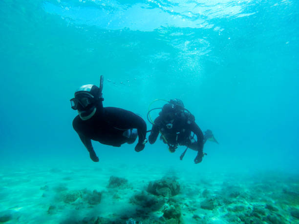 istock Free and scuba diving 1126238844
