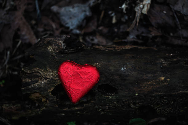 istock Red heart in nature 1126242628