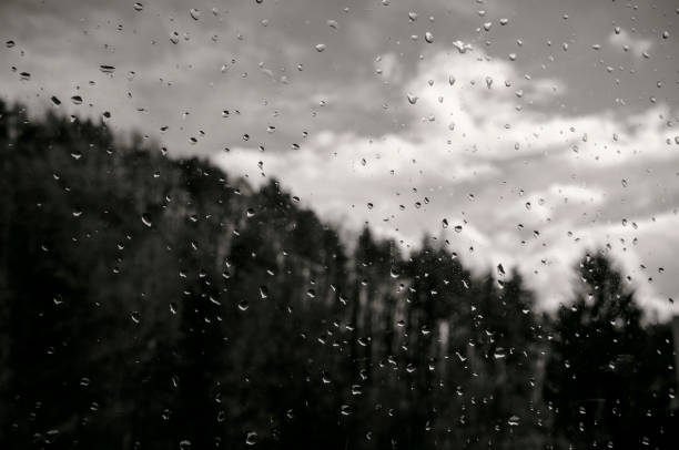 Raindrops like tears sliding down the window glass. Looking outside at a woodland and a cloudy sky.