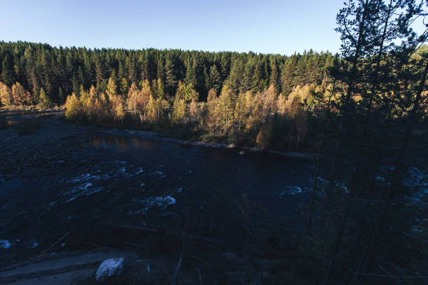 istock Landscape of the Autumn Nature 1126246964