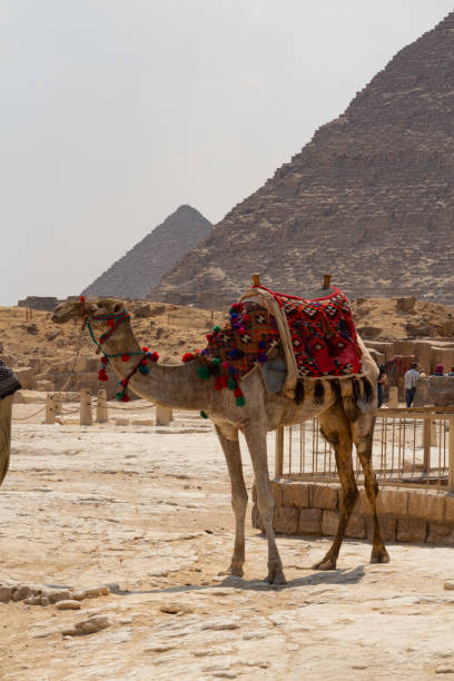 istock Great Pyramid of Giza 1126247116