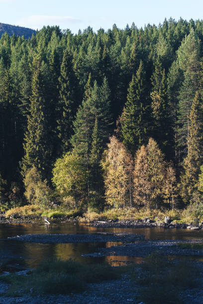 istock Landscape of the Autumn Nature 1126247201