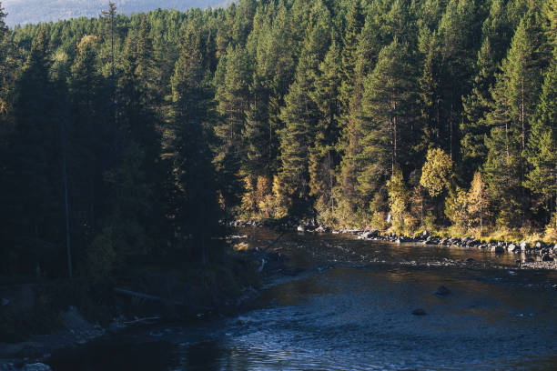 istock Landscape of the Autumn Nature 1126247257